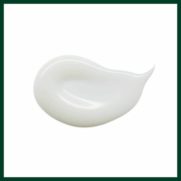 botanical repair™ siero notte ristrutturante