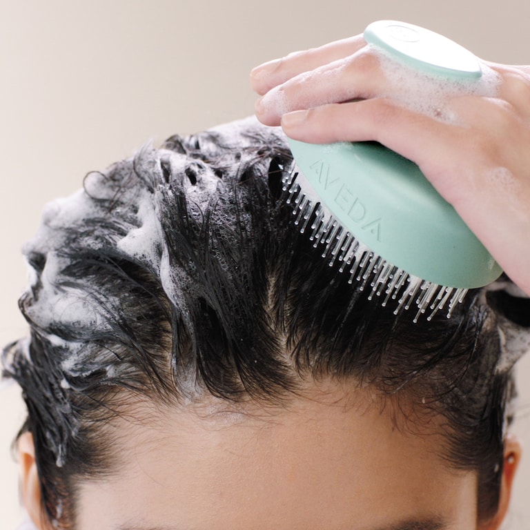 scalp solutions balancing shampoo