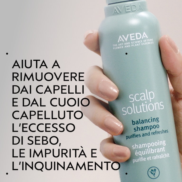 scalp solutions balancing shampoo