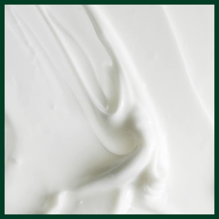 scalp solutions replenishing conditioner