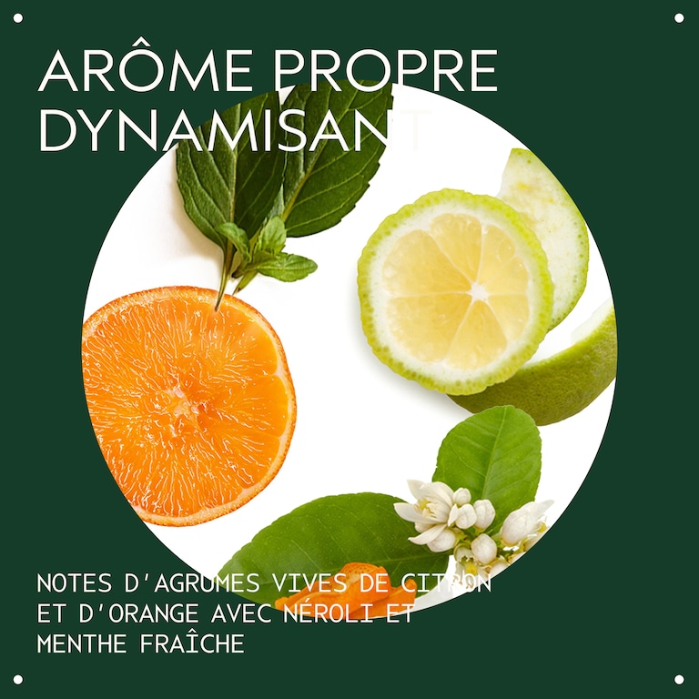 scalp solutions après-shampooing revigorant