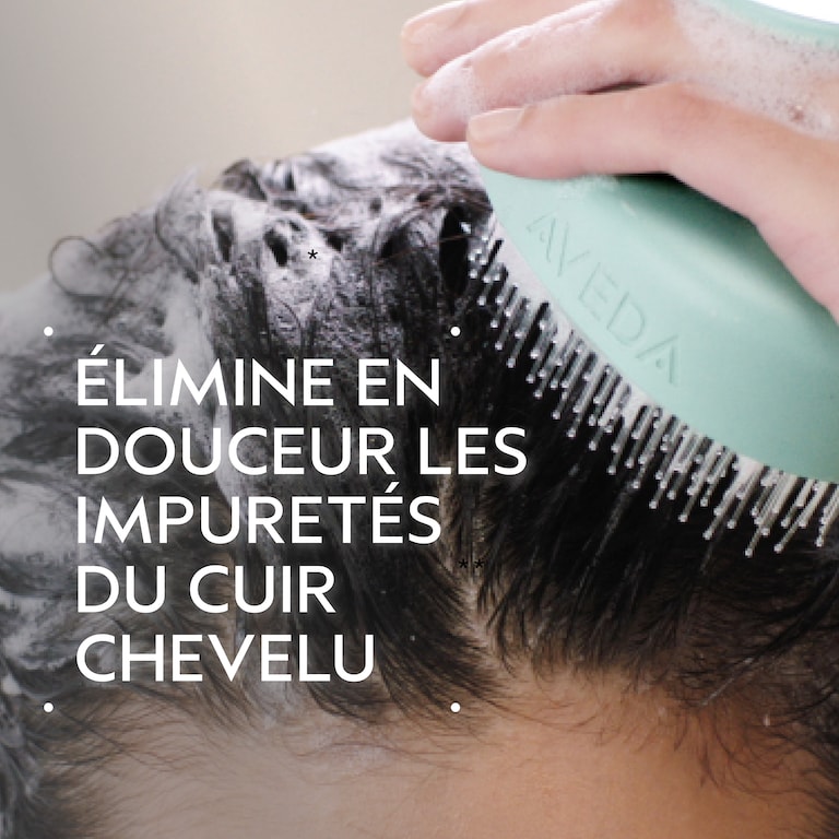 scalp solutions instrument de massage stimulant pour le cuir chevelu
