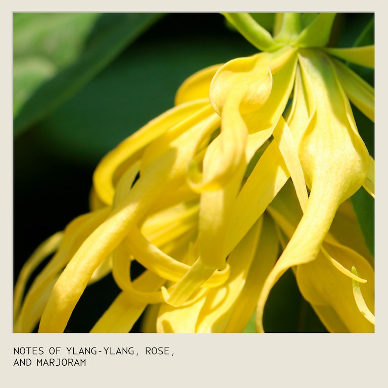 botanical repair™ bond-building flash treatment