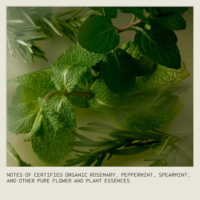 rosemary mint Foaming Hand Wash