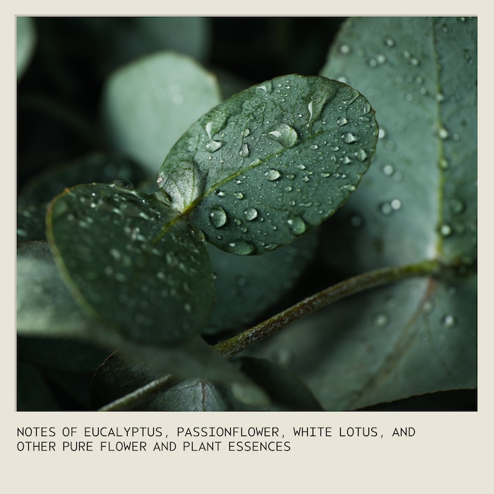 Ritual Bloom Pure-Fume™ Aroma Spray