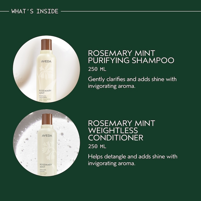Gift of Transformation Hair Care & Styling Icons Set