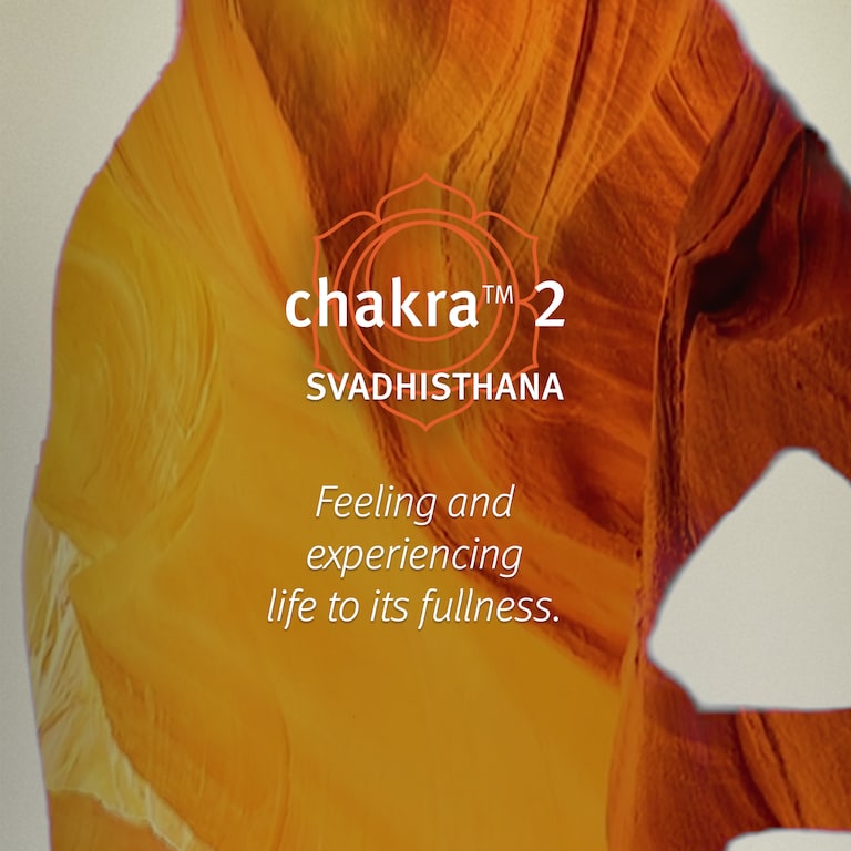 chakra&trade; 2 vaporizador corporal equilibrante balancing pure-fume&trade;