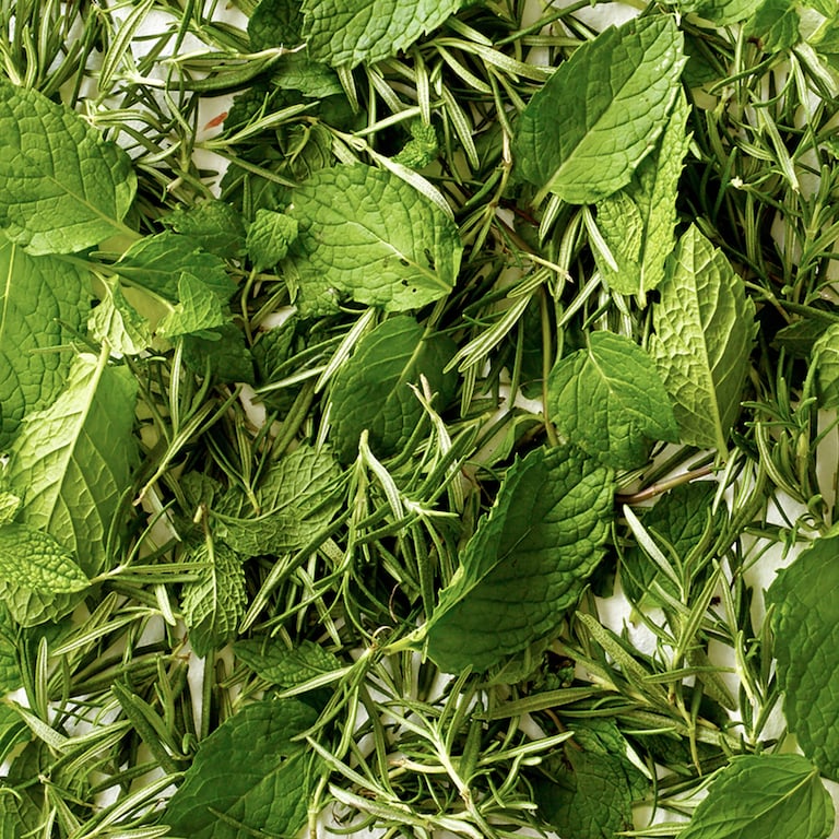 rosemary mint bougie végétale de cire de soja