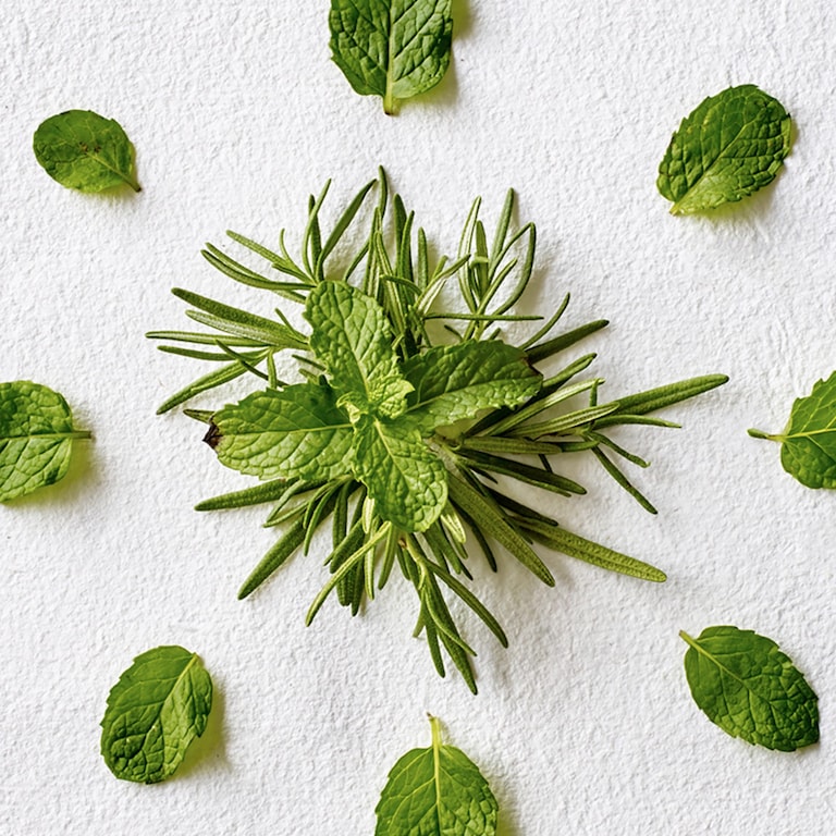 rosemary mint bougie végétale de cire de soja