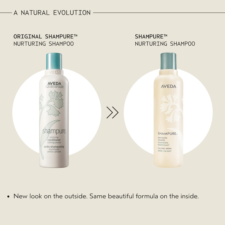 shampure™ shampoo nutriente