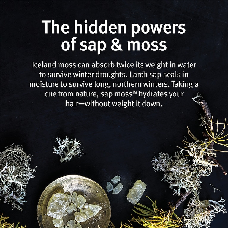 sap moss&trade; shampooing hydratant ultra-léger