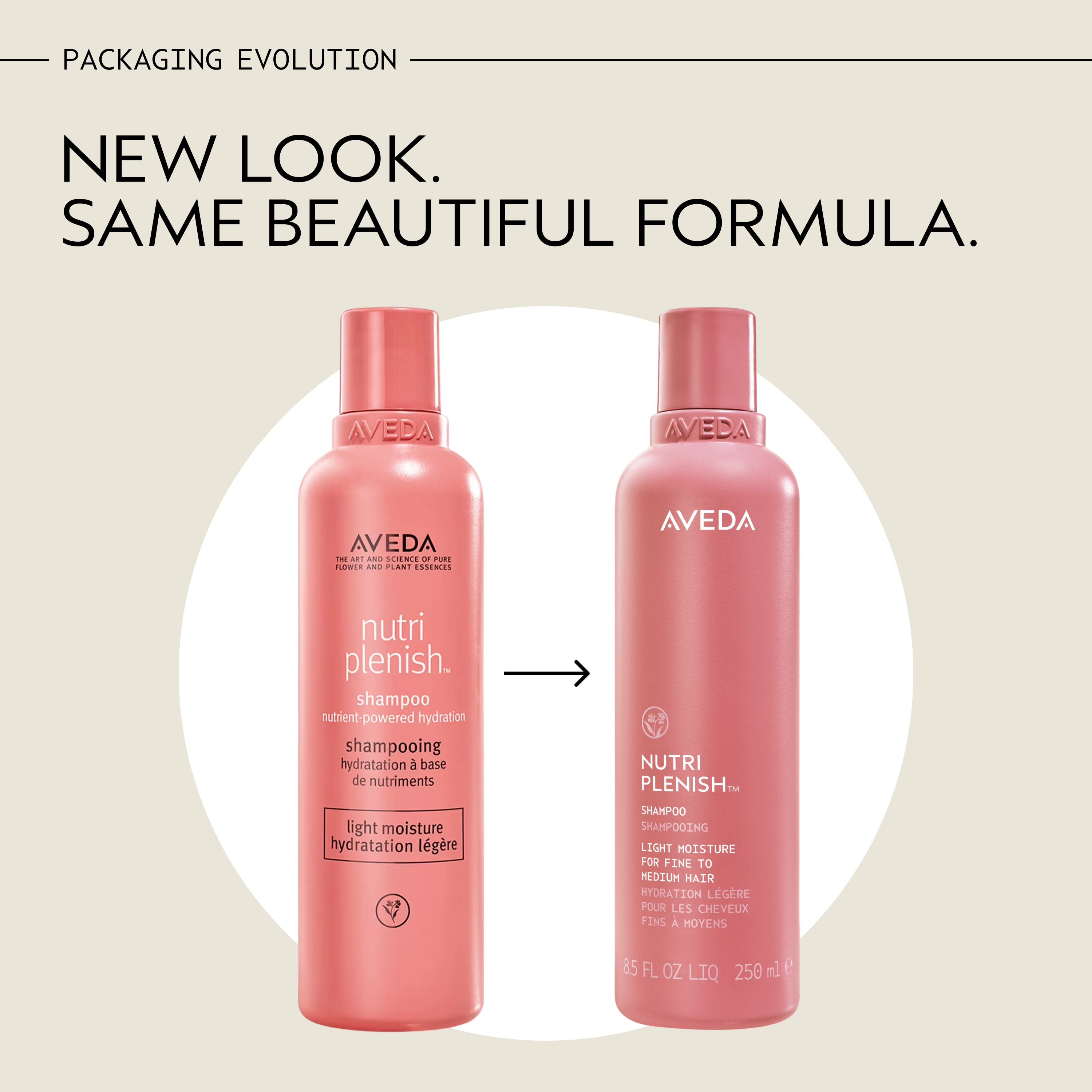 nutriplenish™ shampoo idratazione leggera | Aveda