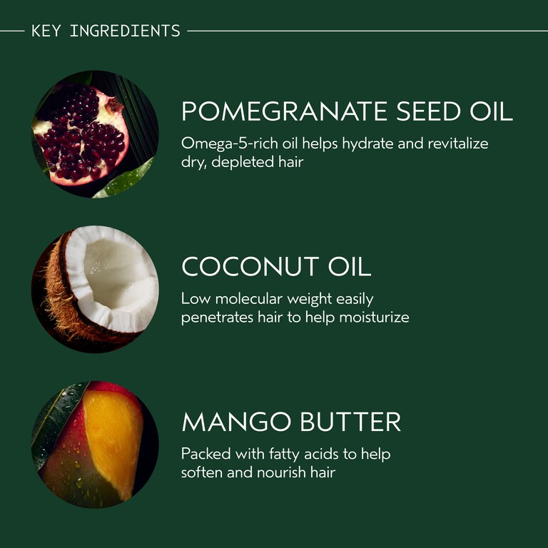 nutriplenish™ conditioner light moisture
