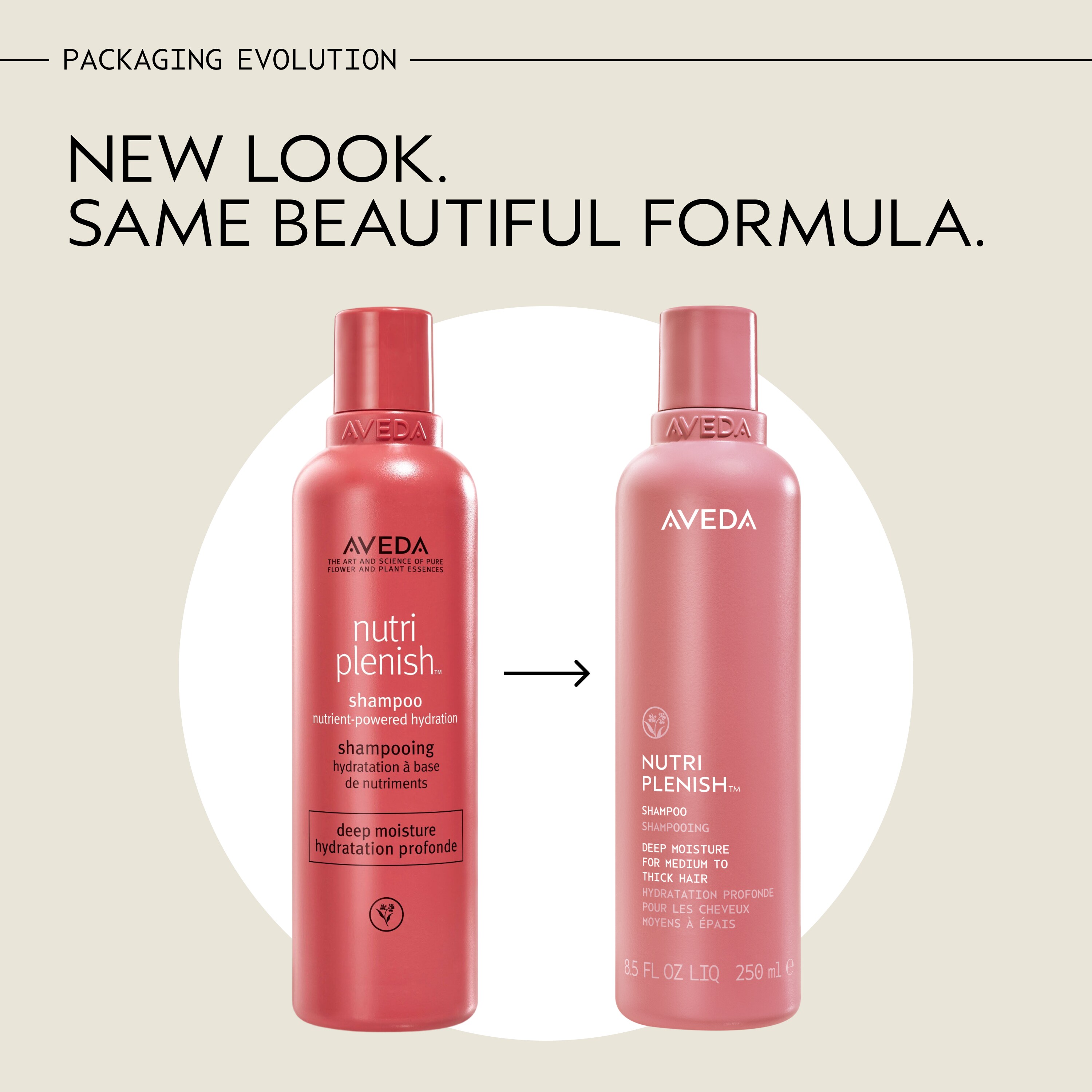 nutriplenish™ shampoo idratazione profonda | Aveda