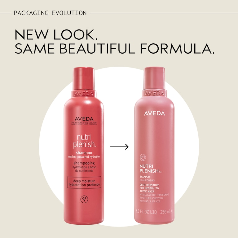 nutriplenish™ shampooing hydratation profonde