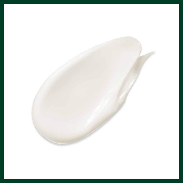 botanical repair™ balsamo ristrutturante