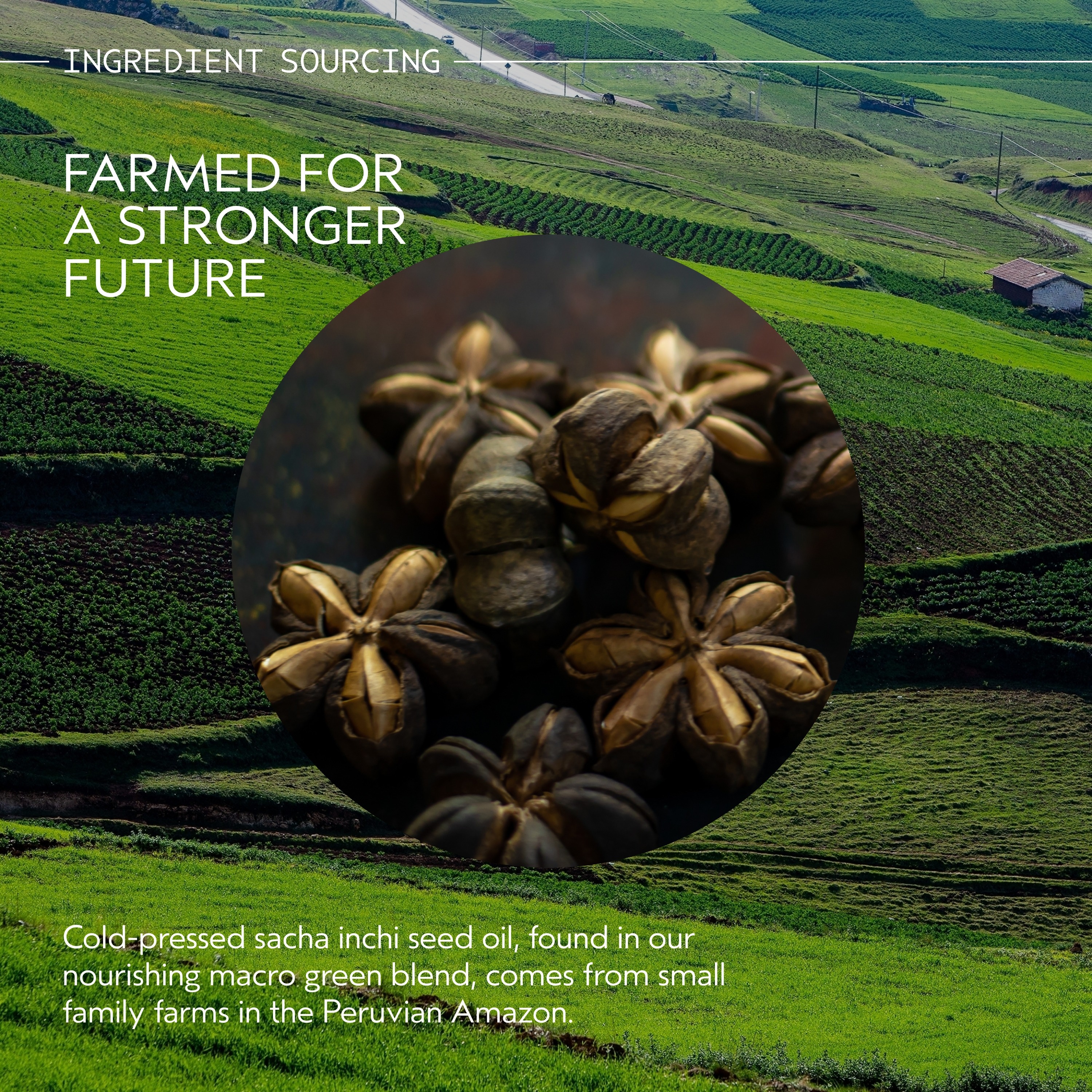 botanical repair™ strengthening leave-in treatment | Aveda