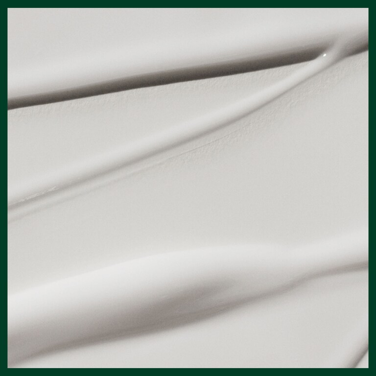 botanical repair™ traitement réparateur sans rinçage