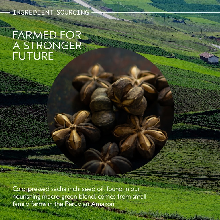 botanical repair™ intensive strengthening masque: light