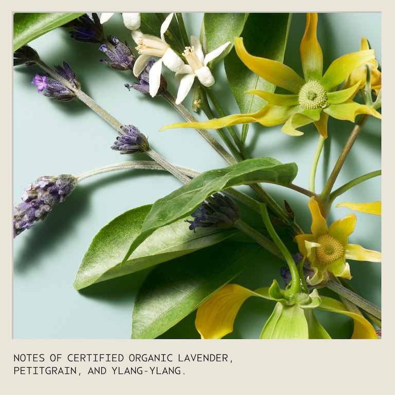 shampure™ balsamo nutriente, 250.0 ml, Alt