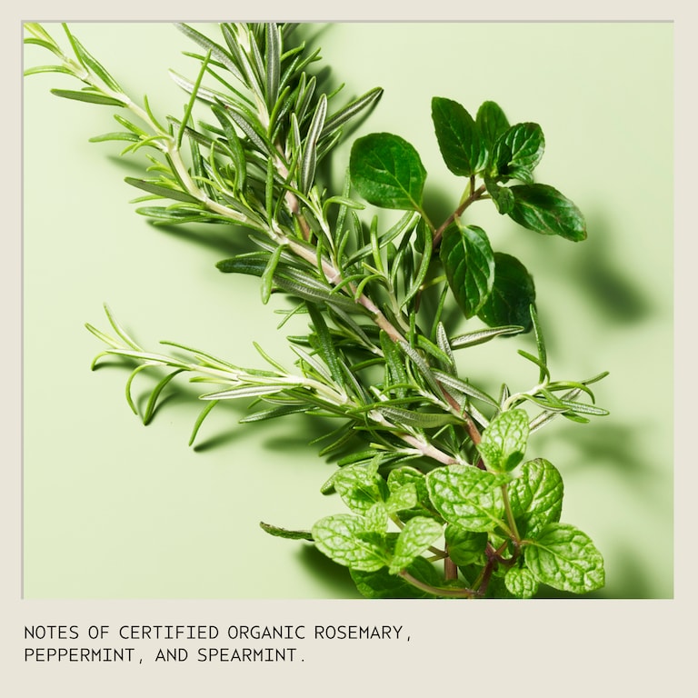 rosemary mint shampooing purifiant, 250.0 ml, Alt