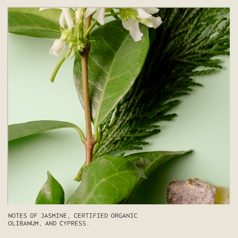 sap moss™ sap moss shampoo idratazione leggera, 200.0 ml, Alt