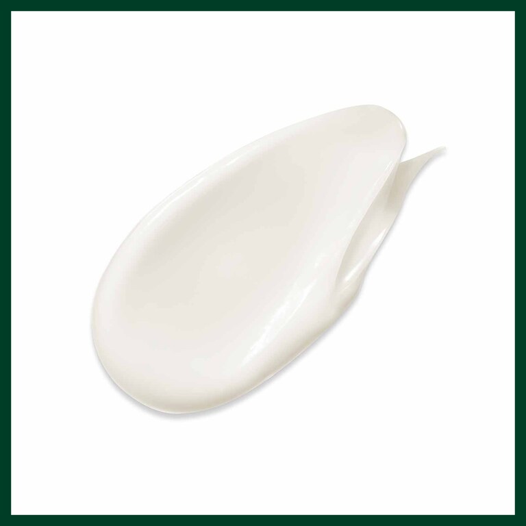 botanical repair™ balsamo ristrutturante, 200.0 ml