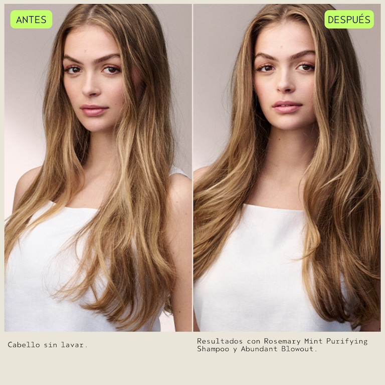 Abundant Blowout All-Over Volumizing Spray, 150.0 ml, Model