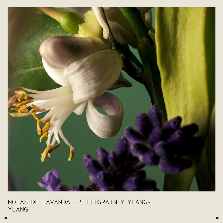 Abundant Blowout All-Over Volumizing Spray, 150.0 ml, Alt