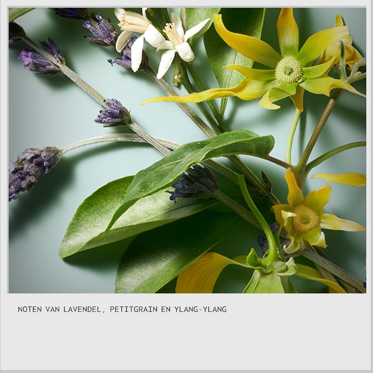 Limited-Edition Hand Relief™ Moisturizing Creme with Shampure™ aroma, 100.0 ml, Alt