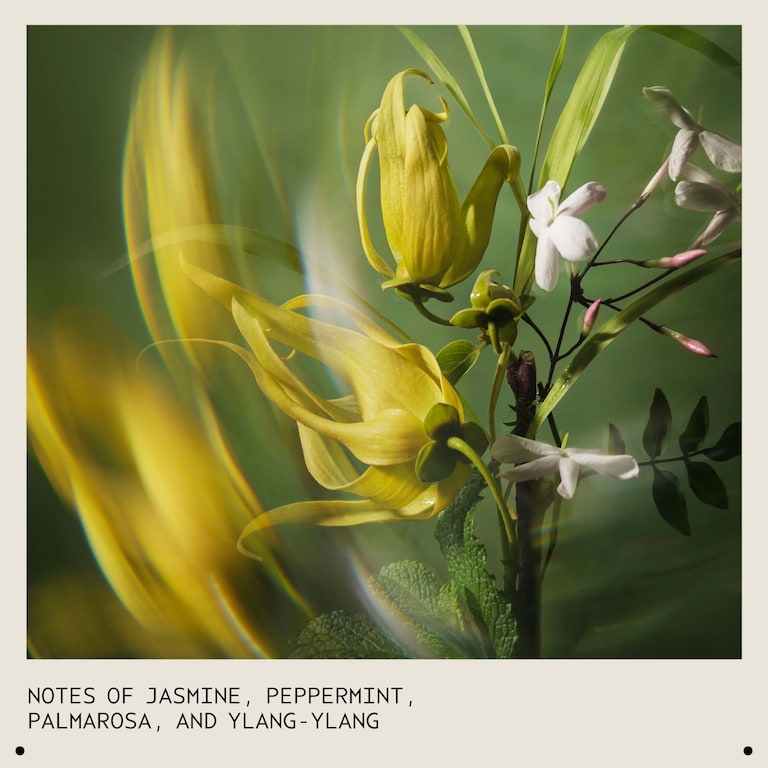 pure abundance™ Volumizing Shampoo, 200.0 ml, Alt