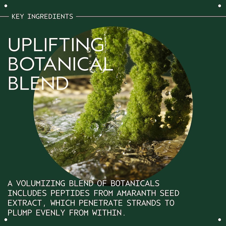 pure abundance™ Volumizing Shampoo, 200.0 ml, Alt