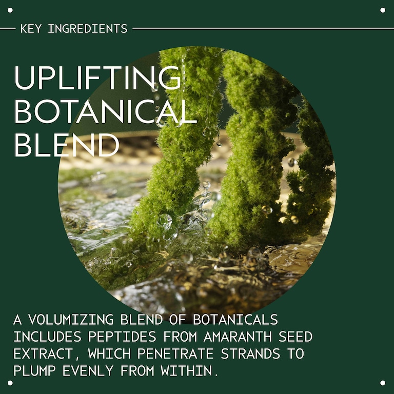 pure abundance™ Volumizing Shampoo, 1.0e3 ml, Alt