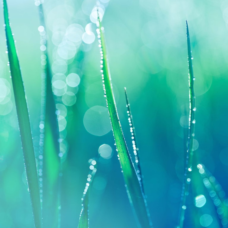 Clinique My Happy™ Indigo Mist Eau de Parfum Spray