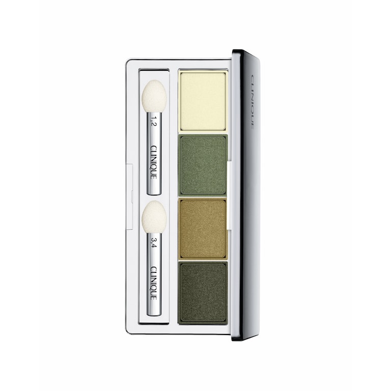 All About Shadow&trade; 4 Couleurs, On Safari, 3.3g, Product Shot