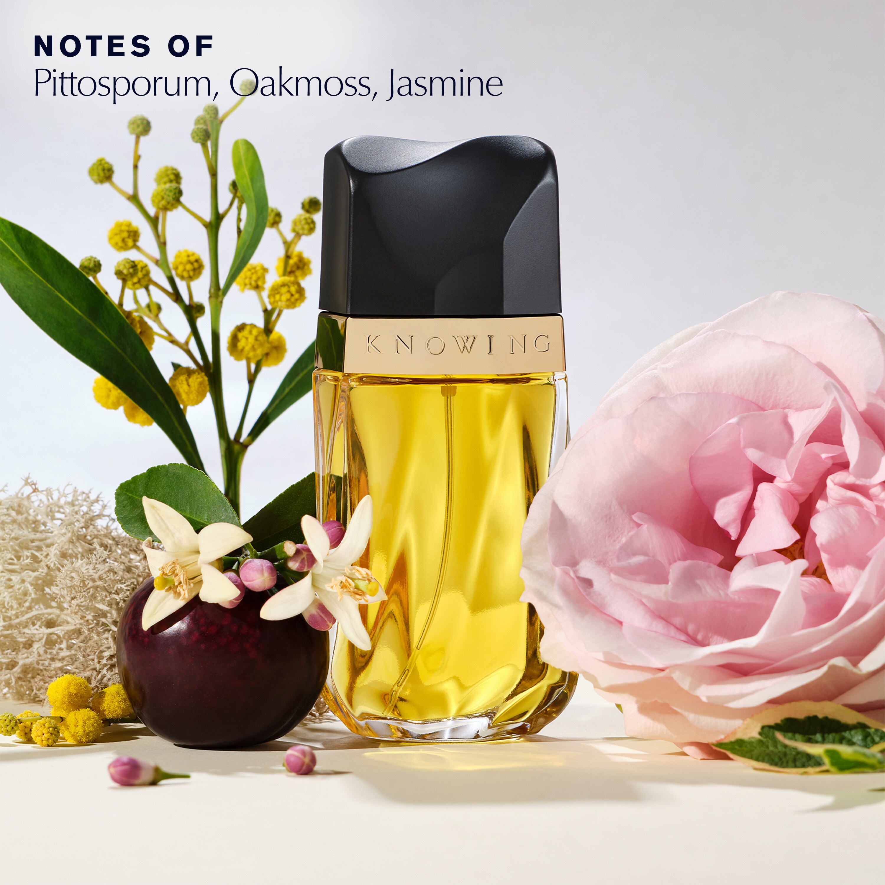 Knowing Eau de Parfum Spray | Estée Lauder