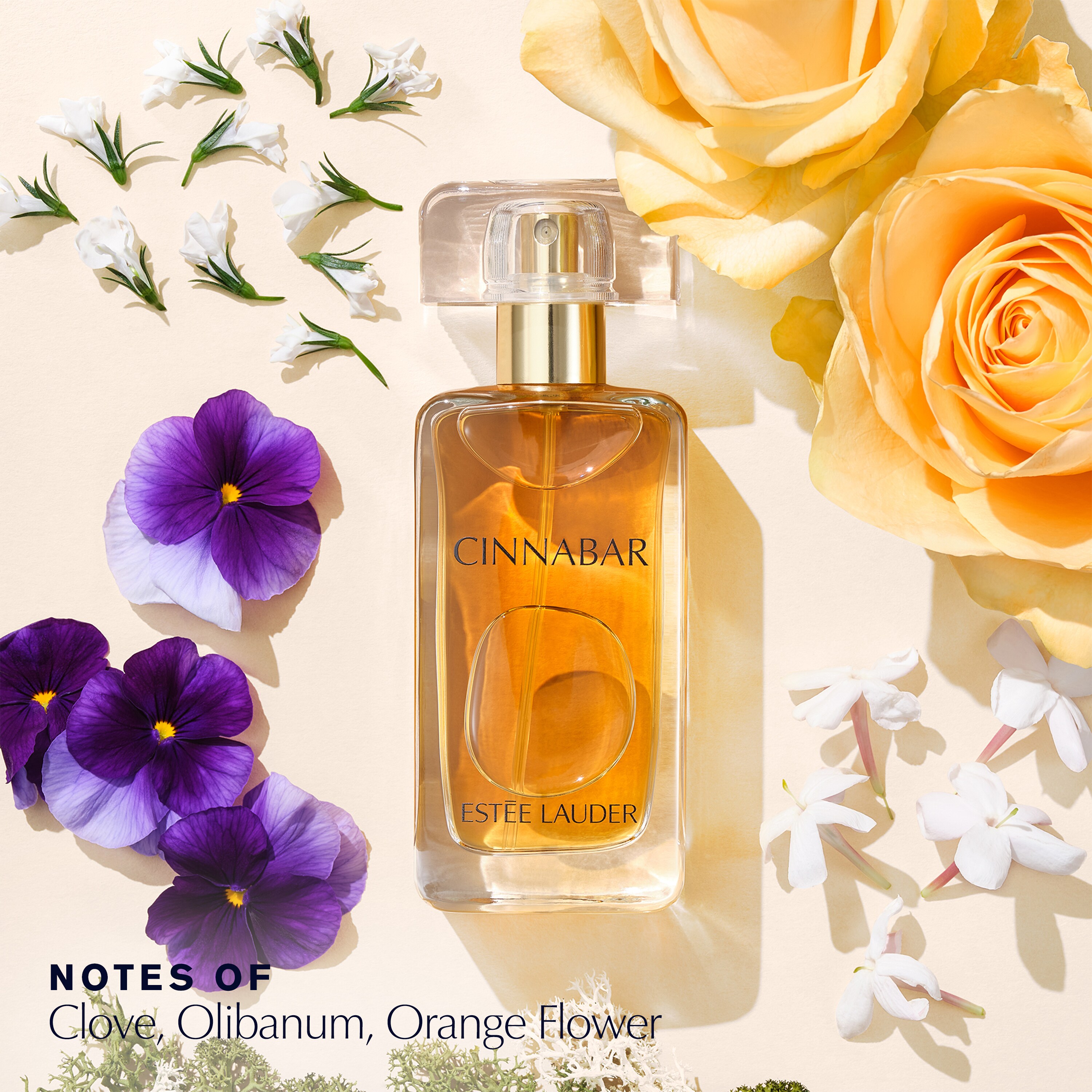 SpellBound Eau de Parfum Spray | Estée Lauder