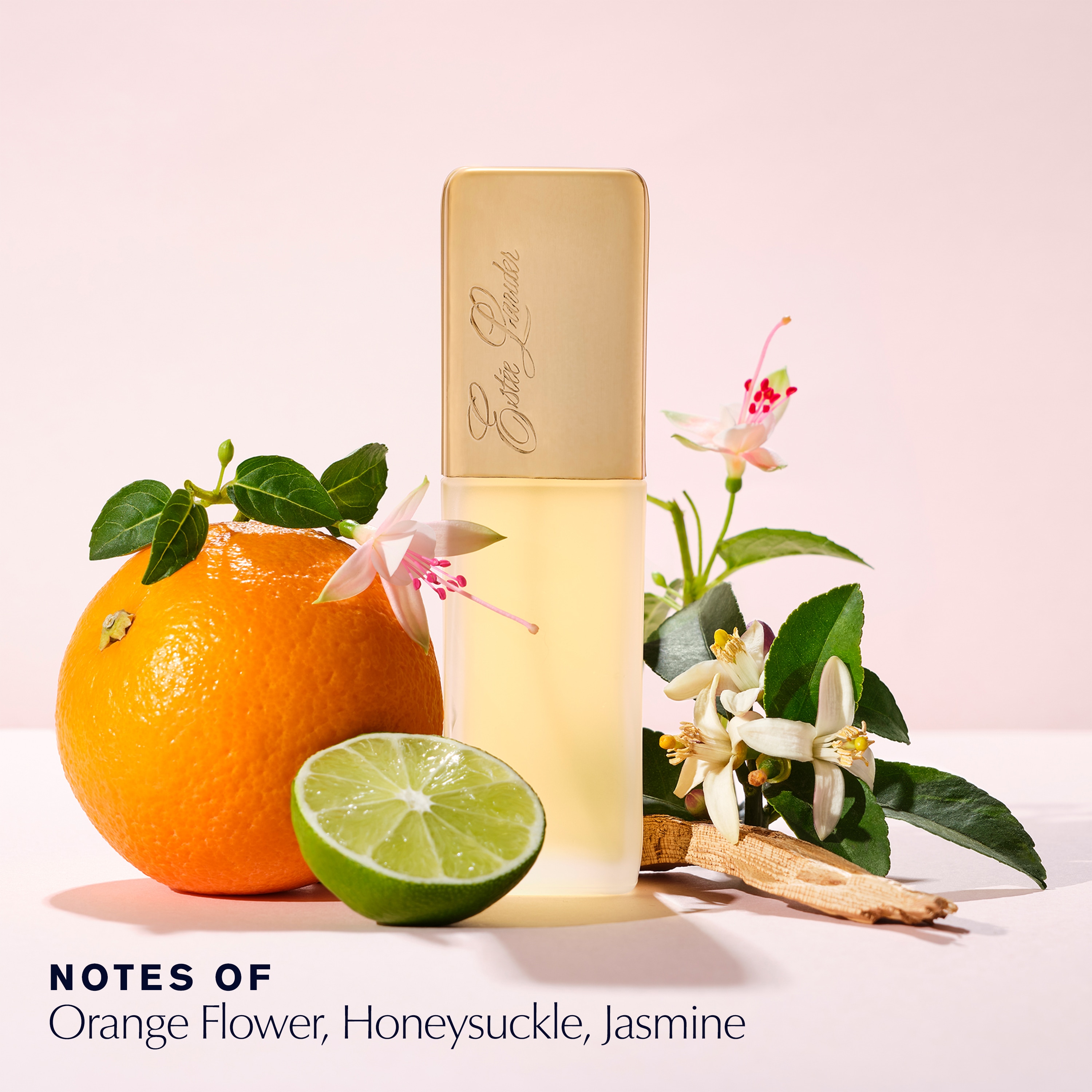 Private Collection | Sito e-commerce Italia - Italiano