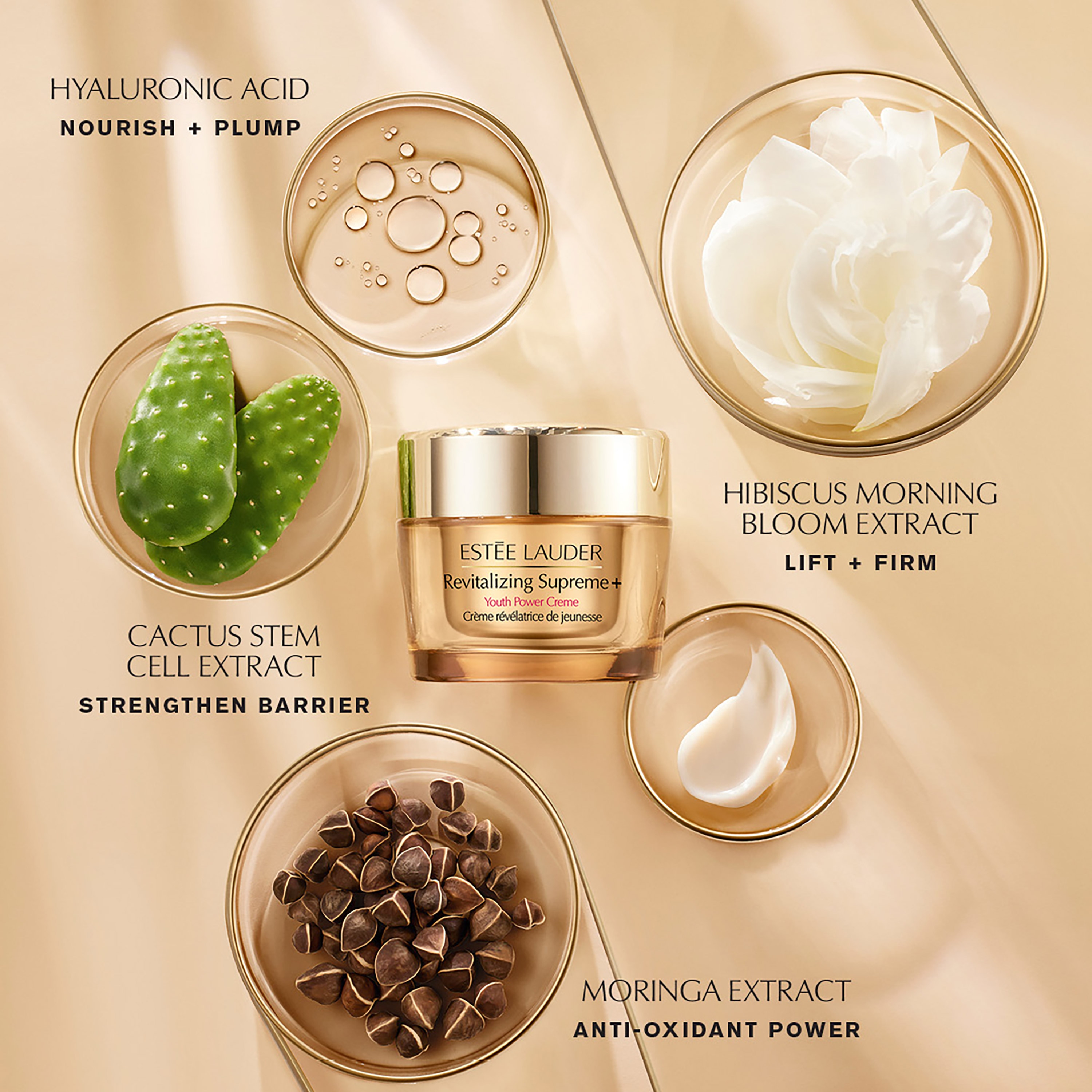 Revitalizing Supreme+ Moisturizer Youth Power Creme | Estée Lauder