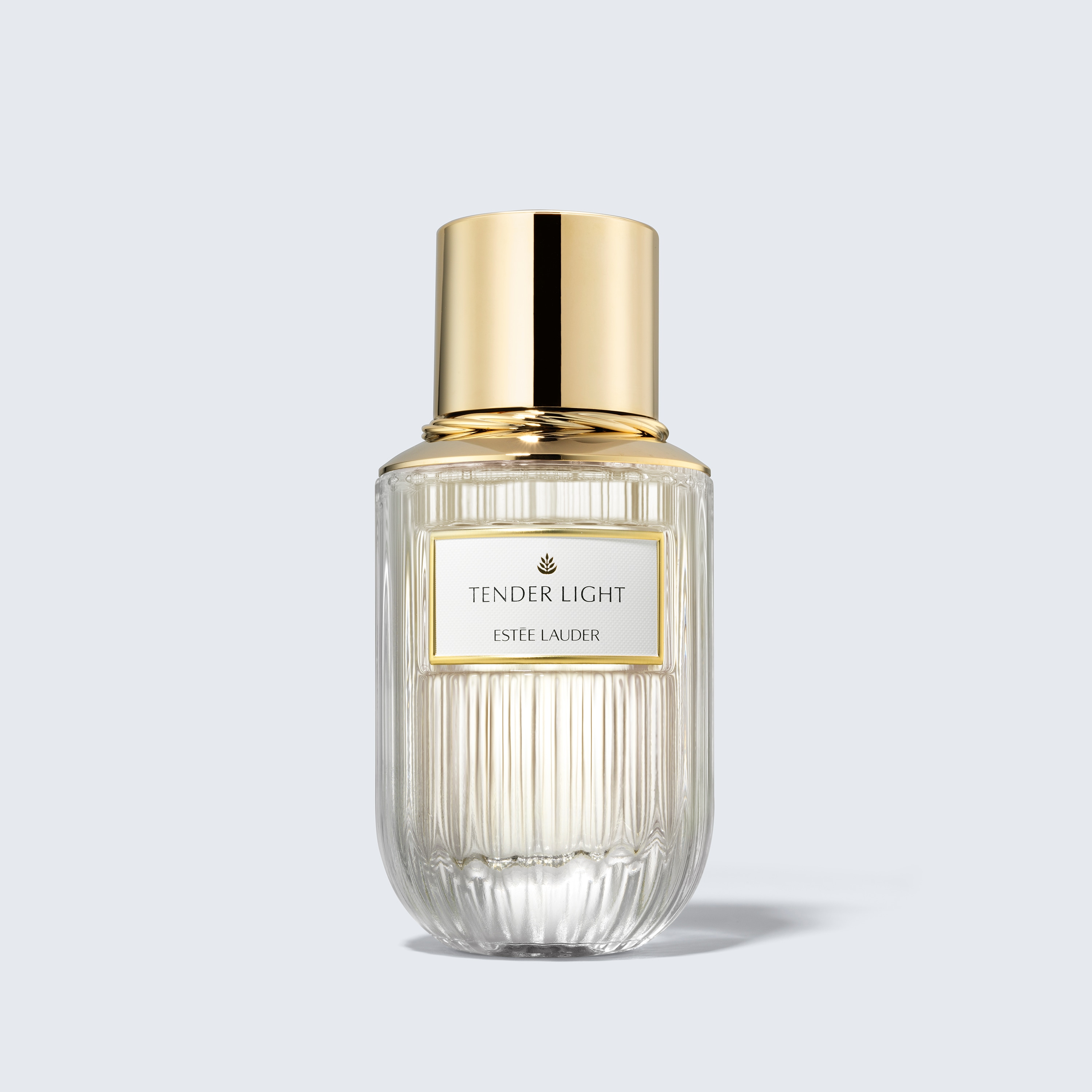 ESTEE LAUDER TENDER LIGHT 香水 100ml Tender Light Estée Lauder perfume - a fragrância