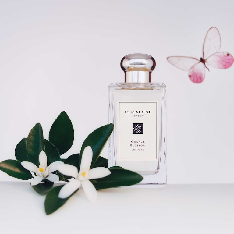 Orange Blossom Cologne, 100.0 ml, Alt