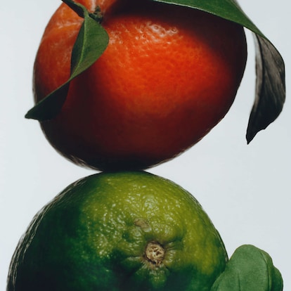 Lime Basil & Mandarin Bougie parfumée, 200.0 g, Alt