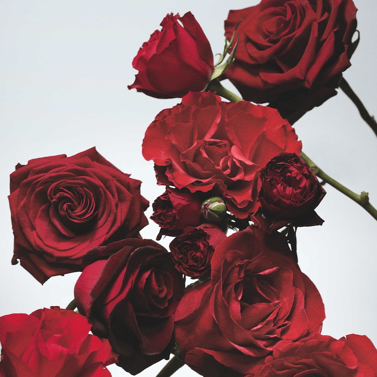 Red Roses Bougie Parfumée, 200.0 g, Alt