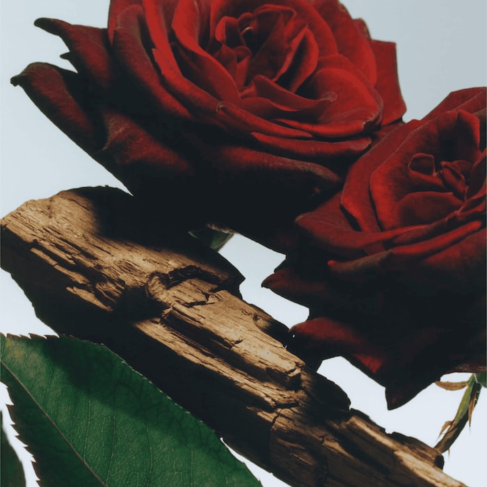 Velvet Rose & Oud Vaporisateur pour le Corps, 125.0 ml, Alt