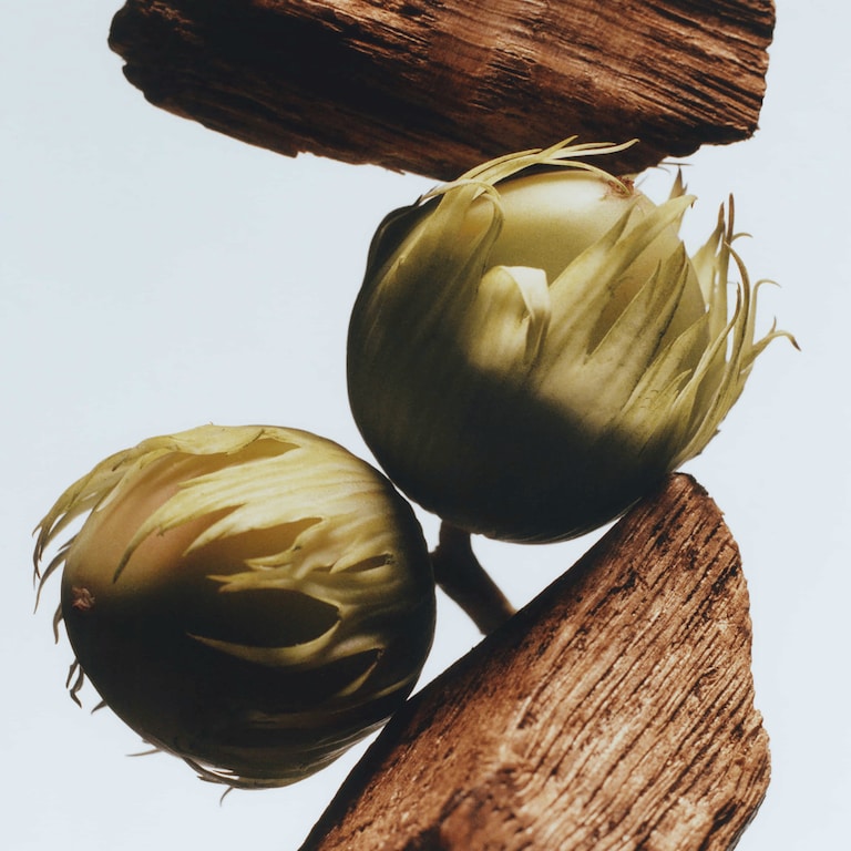 English Oak & Hazelnut Cologne, 9.0 ml, Alt