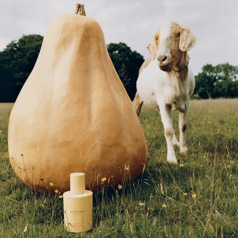 Velvety Butternut Cologne, 30.0 ml, Alt