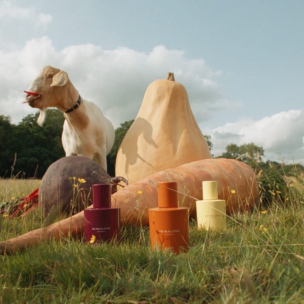 Veggies Discovery Collection | Jo Malone London