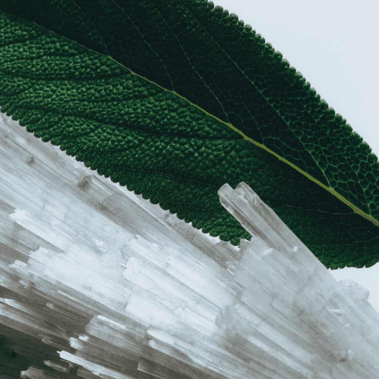 Wood Sage & Sea Salt Special-Edition Cologne, 100.0 ml, Alt