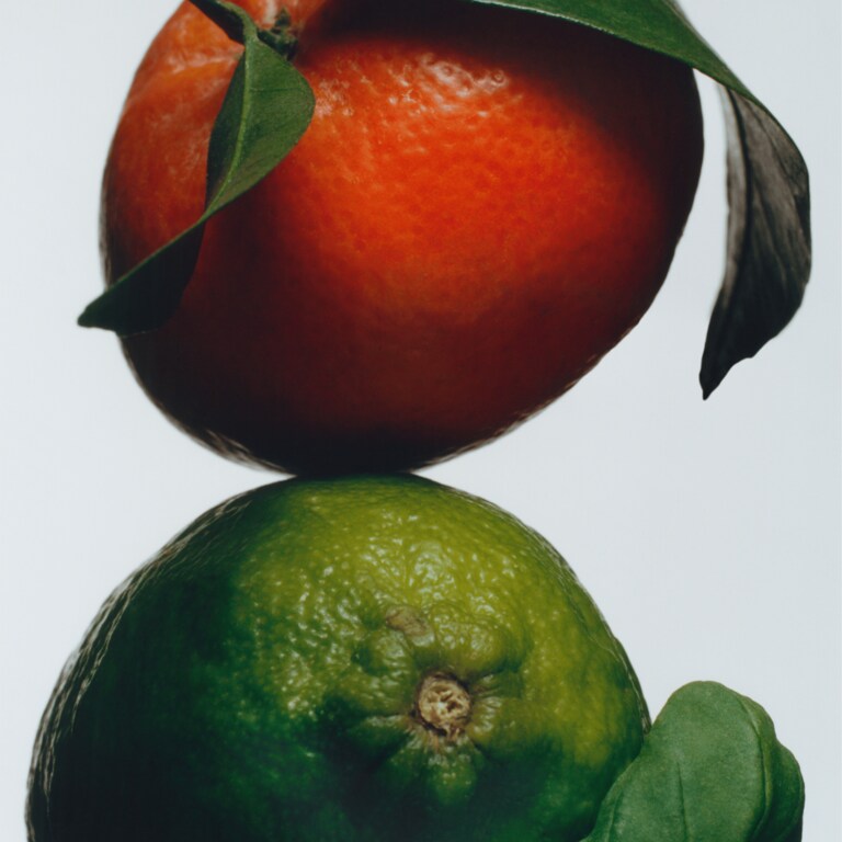 Lime Basil & Mandarin Auto-Diffuser Nachfüllduft, Alt