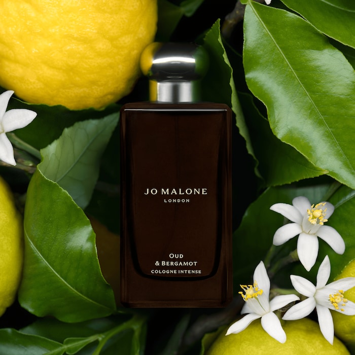 Oud & Bergamot Cologne Intense, 30.0 ml, Alt